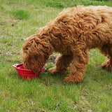 Rosewood Pet Stuff Drinking Bin foldble sorti