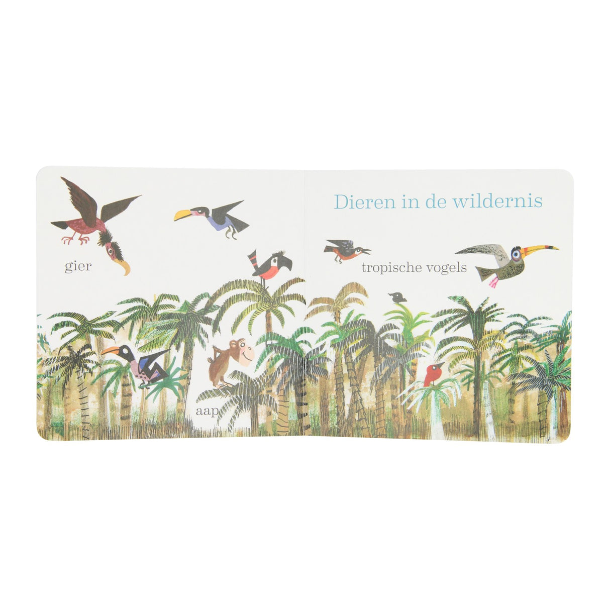 Cardboard book Animals from Fiep Westendorp