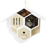 Avenue Mandarin Avenue Mandarin Craft Box Bug House zum Bau