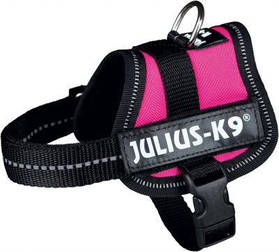 Julius K9 Power-Harnas Tuig per etichette fucsia