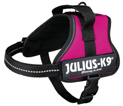 Julius K9 Power-Harnas Tuig per etichette fucsia