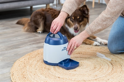 Trixie Dog Atividade Memory Trainer 3.0