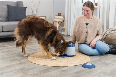Trixie Dog Atividade Memory Trainer 3.0