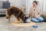 Trixie Dog Atividade Memory Trainer 3.0