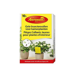 Bsi aeroxon insect traps for houseplants