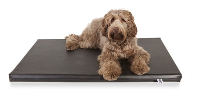 Bia bed mattress orthopedic dog bed black
