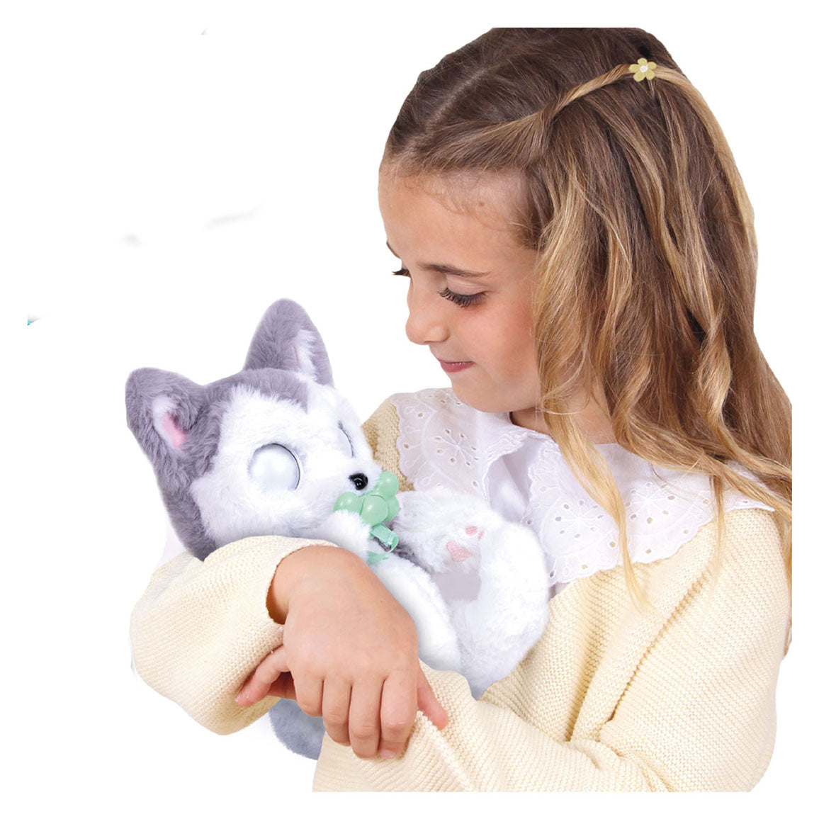 Câlins de câlins husky interactifs