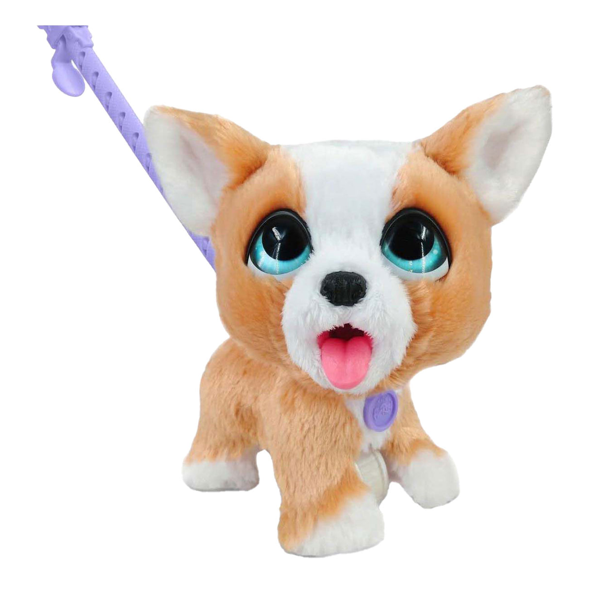 Spectron furreal poop a lots corgi