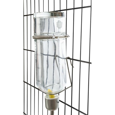 Trixie drinking bottle glass