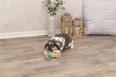 Trixie snack cube wood