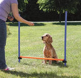 Trixie Dog Activity Agility horde modra oranžna