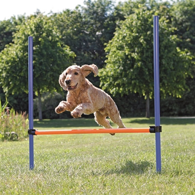 Trixie Dog Activity Agility horde modra oranžna