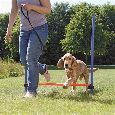 Trixie Dog Activity Agility horde modra oranžna