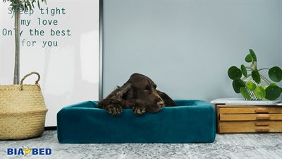 Bia Royal Velvet Hoes for Dog Basket Petrol