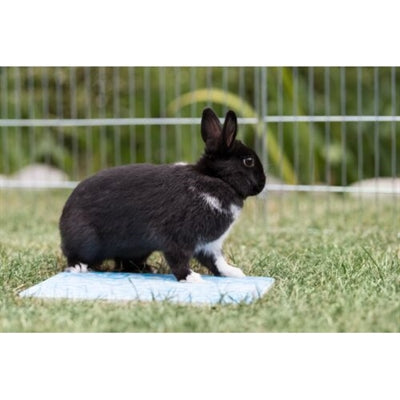 Assiette de refroidissement Trixie pour les petits animaux bleu