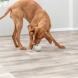 Trixie snackball gumi mész zöld