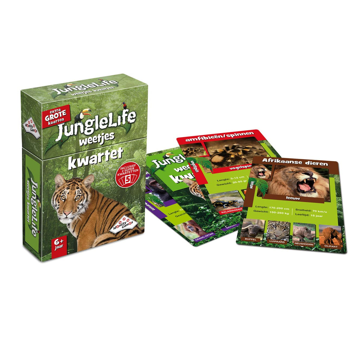 Games de identidade JungleLife Fact Quartet