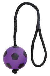 Trixie Sportball na faixa de espuma de corda