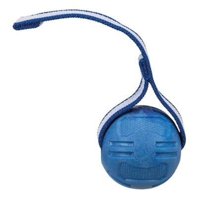 Trixie Sportball chez Lint TPR Floating Assorti