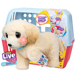 My baby ouchies luxe cooper interactive