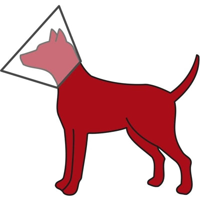 Trixie protective collar with Velcro Plastic Transparent