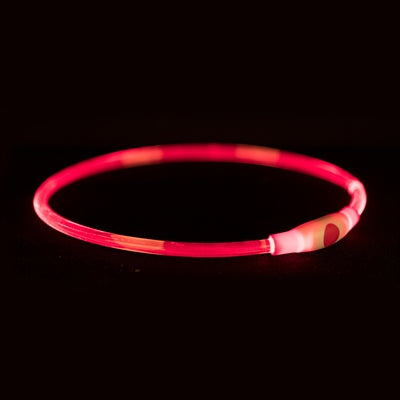 Trixie krage USB Flash Light lysande laddningsbar TPU röd