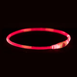 Trixie krage USB Flash Light lysande laddningsbar TPU röd