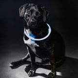 Trixie collar USB flash light luminous rechargeable TPU blue