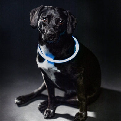 Trixie krave USB Flash Light lysende genopladelig TPU -blå