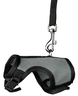 „Trixie SofthuiK“ su diržu „Ratten Assorti“