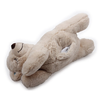 AFP Buddy beag béar te