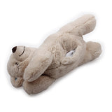 AFP Buddy beag béar te
