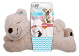 AFP Buddy beag béar te