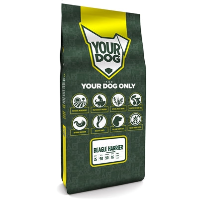 Yourdog Beagle Harrier Erwachsener