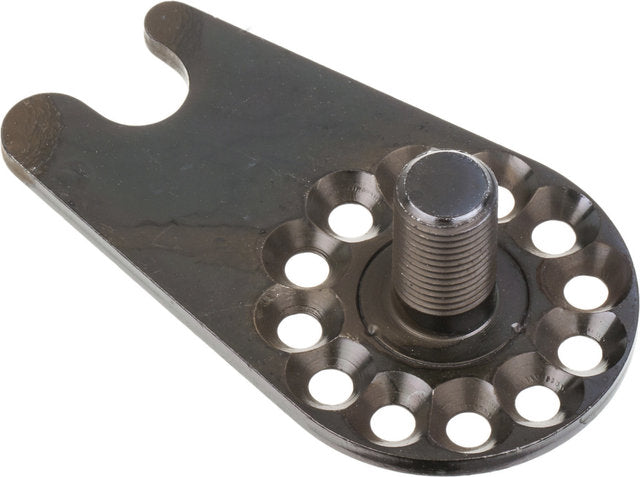 Rohloff ts oem2 axle plate