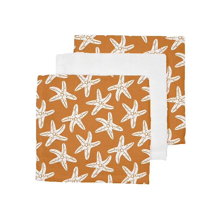 Seastar | Orange hydrophilic cloths 25 x 25 cm - 3 pieces