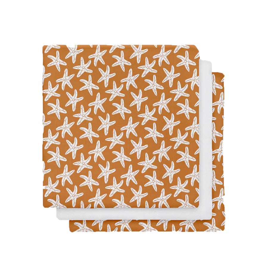 Seastar | Orange hydrophilic cloths 60 x 60 cm - 3 pieces