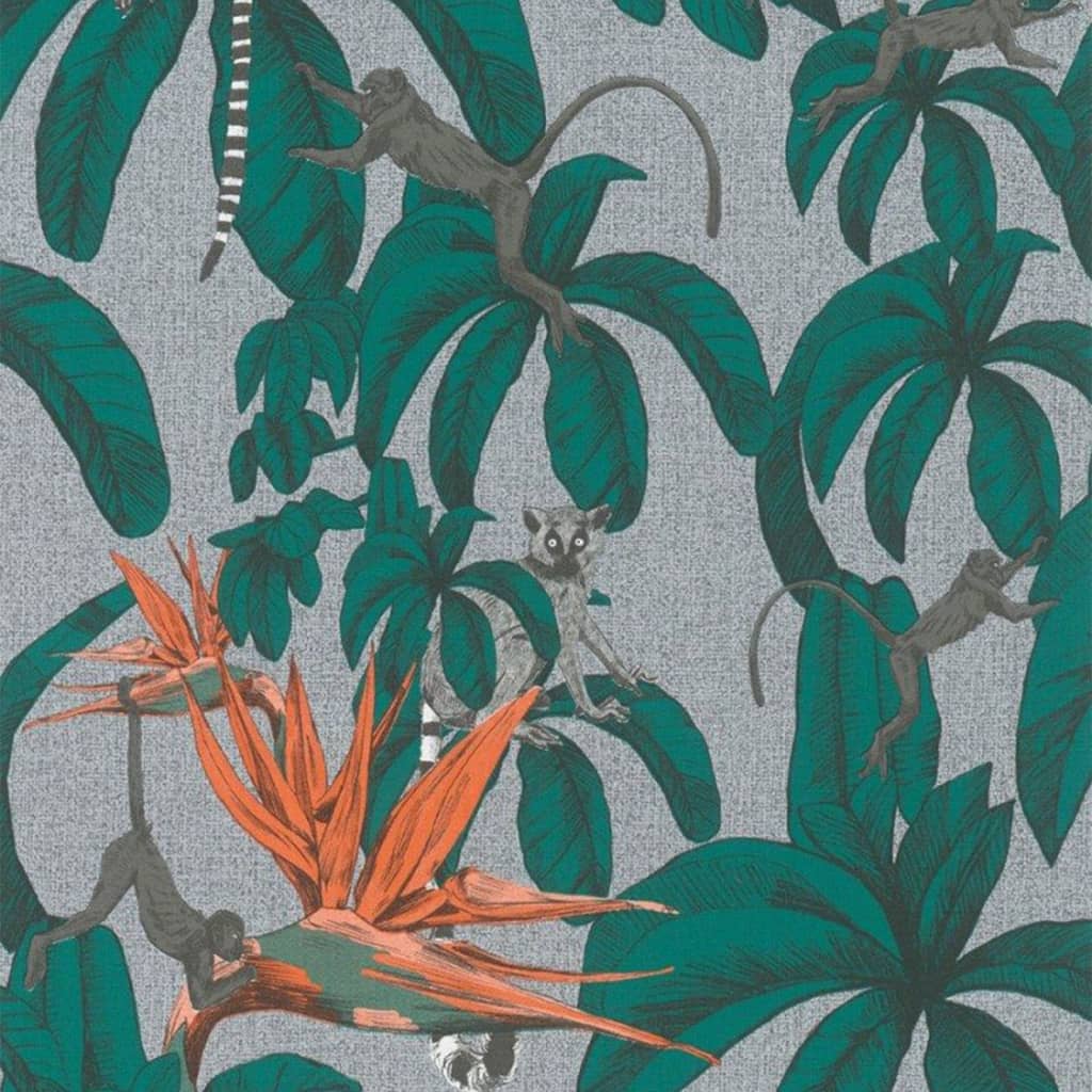 NOORDWAND FAPE POURCEUR TOPCHIC Jungle de singe