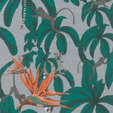 NOORDWAND FAPE POURCEUR TOPCHIC Jungle de singe