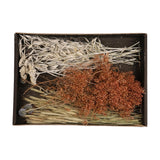 Naturel collections droogbloemen mix tray 38x26x5cm