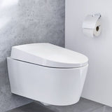 Piccolo supporto per la toiltrol di Wolke Little Wolke con alluminio Apollo del coperchio