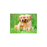 Ravensburger Golden Retriever jigsaw puzzle