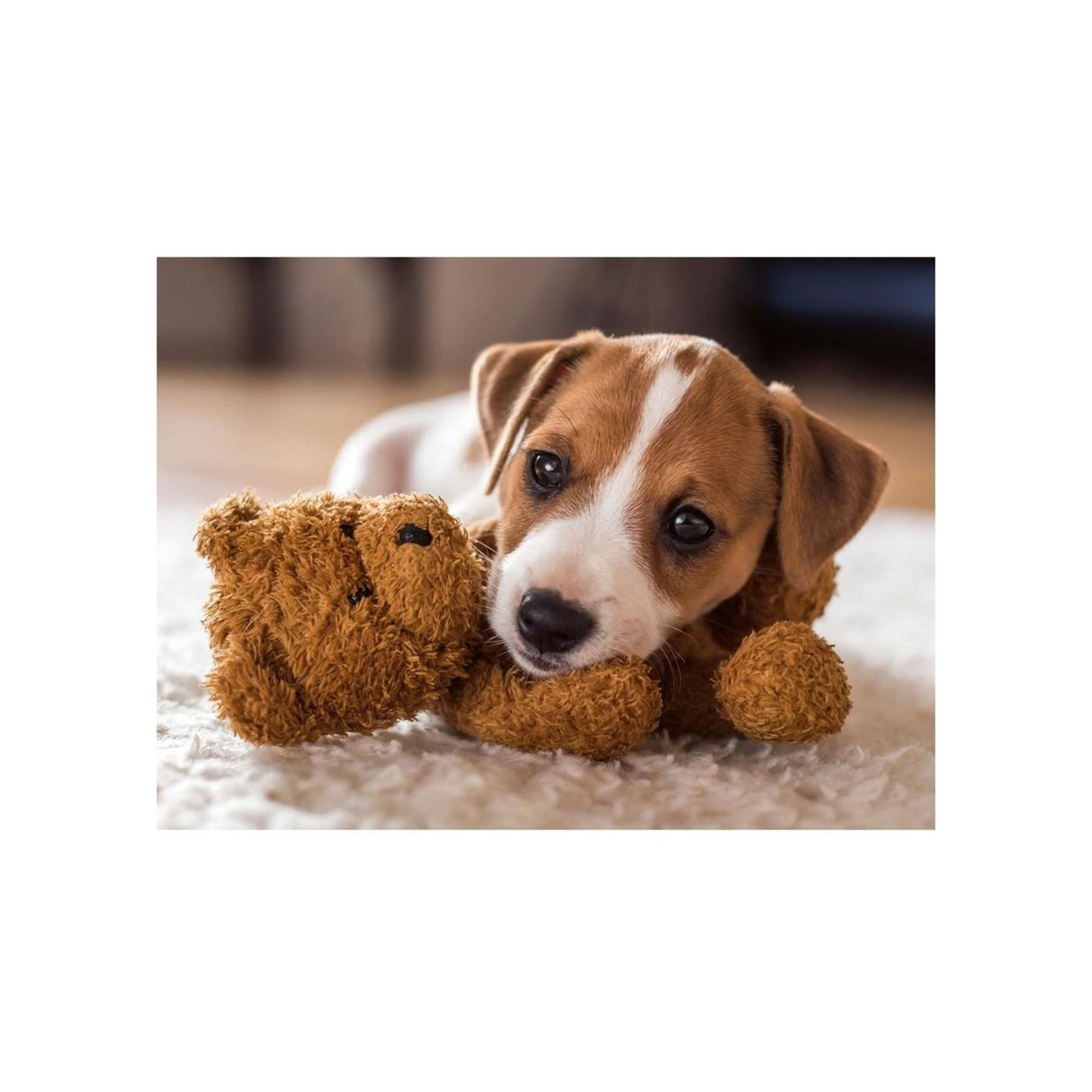 Ravensburger jigsaw puzzle cuddly buddies 500 pieces