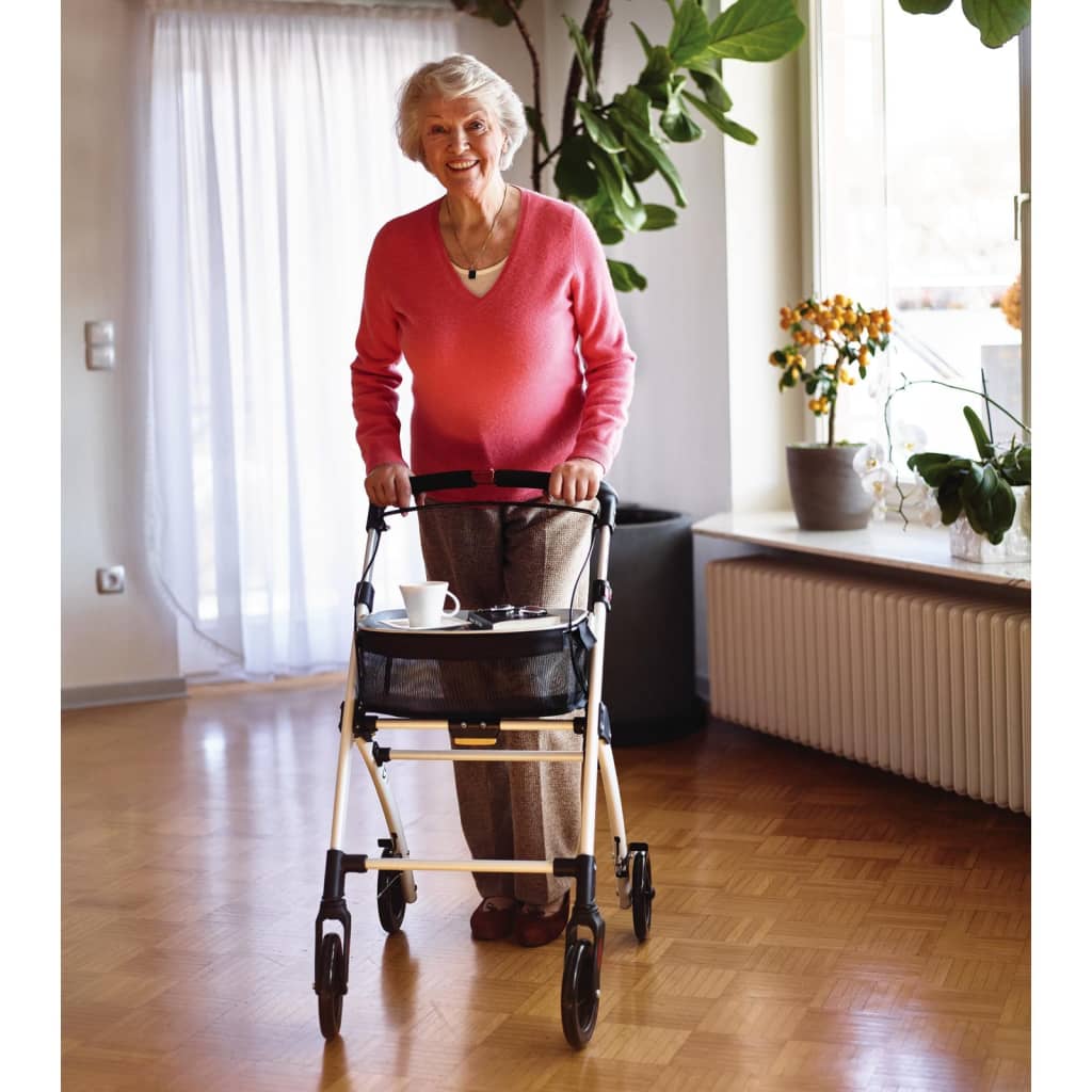 Knight Ridder Rollator For Inside Pit Anthracite -colored
