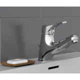 Schütte Schütte Washbe -Mixer mit ausziehbarem Ausgangs -Attika -Chrom -Colored