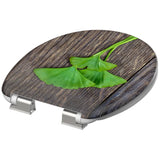 Schütt Toilette Sëtz mat mëllen-zouenen ginkgo Wood