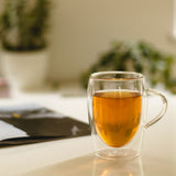 Scanpart thee thermo glazen 30cl 2 stuks