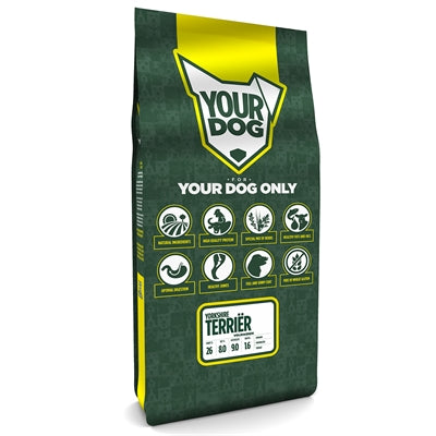 YourDog Yorkshire schrecklicher Erwachsener