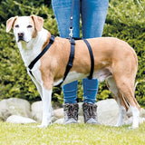 Trixie Hundegurt bleib schwarz