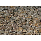 Komar photo wallpaper Stone wall 368x254 cm 8-727